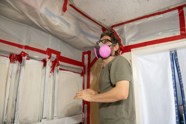 Mold Removal for HVAC Installations in Bishopville, SC